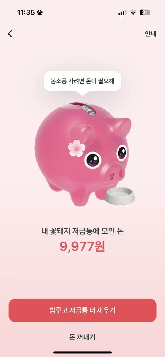 토스 꽃돼지 2분만 (700원 드려요 제가 드리는 쪽) 기회 남으신분만